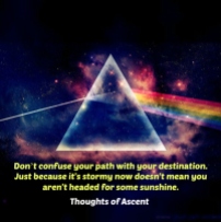 Don't confuse your path with your destination